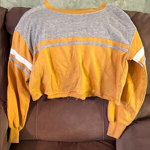 Yellow and Gray Cropped Sweatshirt
